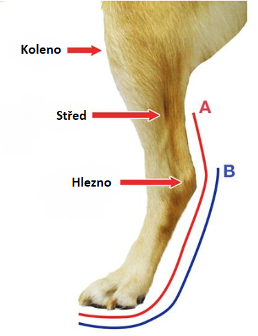 Snímek obrazovky 2023-02-16 173439